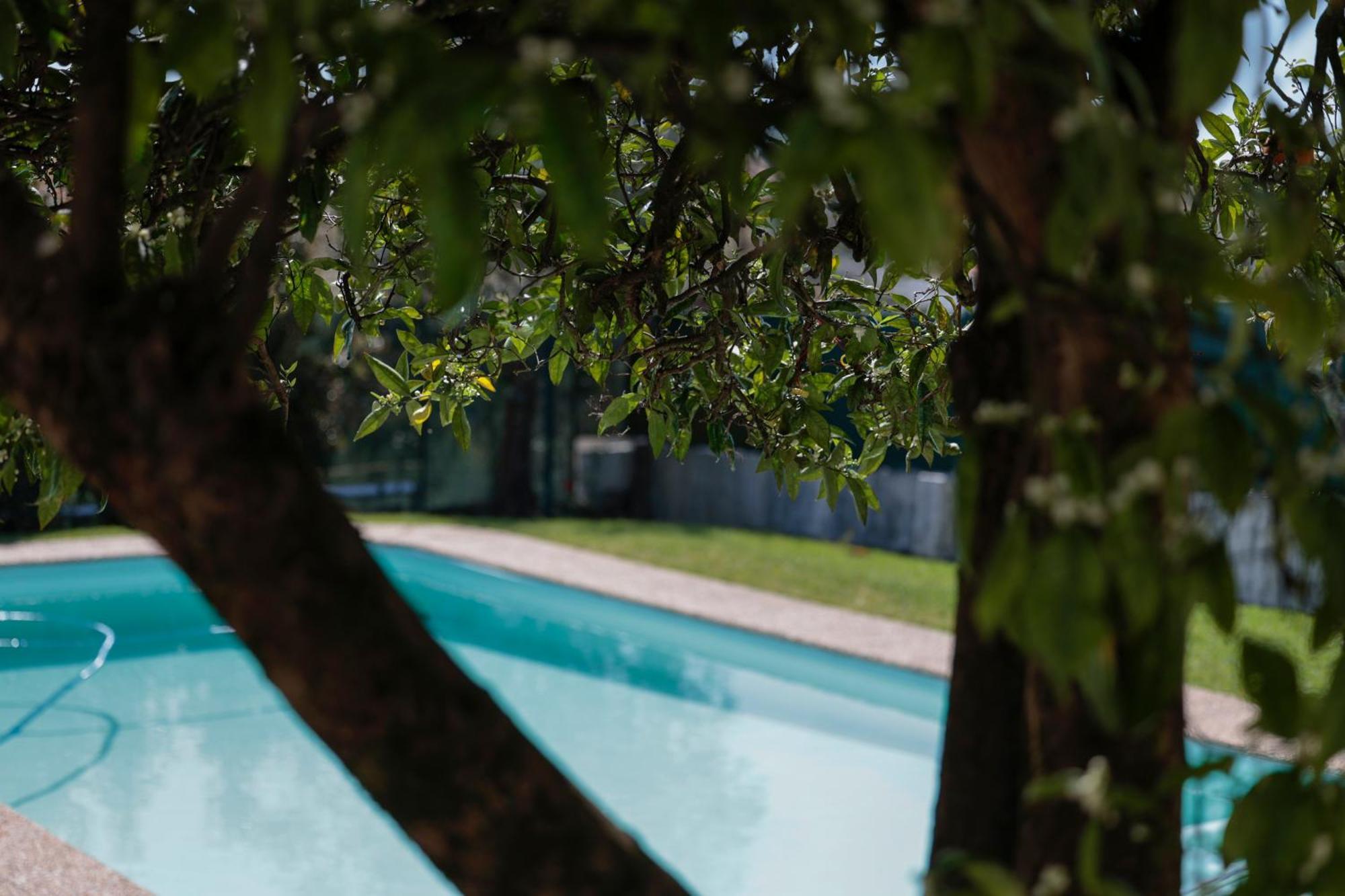 Casa Do Vale -Villa Rio Minho-Seixas-Caminha Eksteriør billede